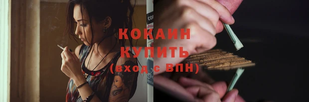 дживик Бородино