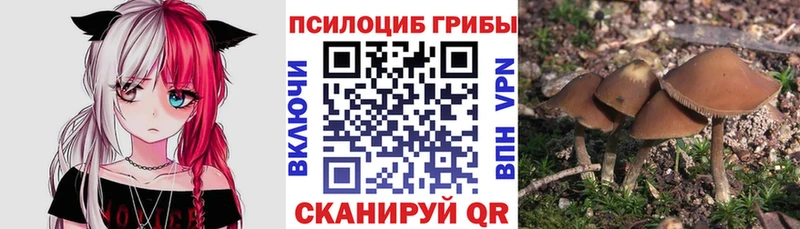 Псилоцибиновые грибы ЛСД  Верхнеуральск 